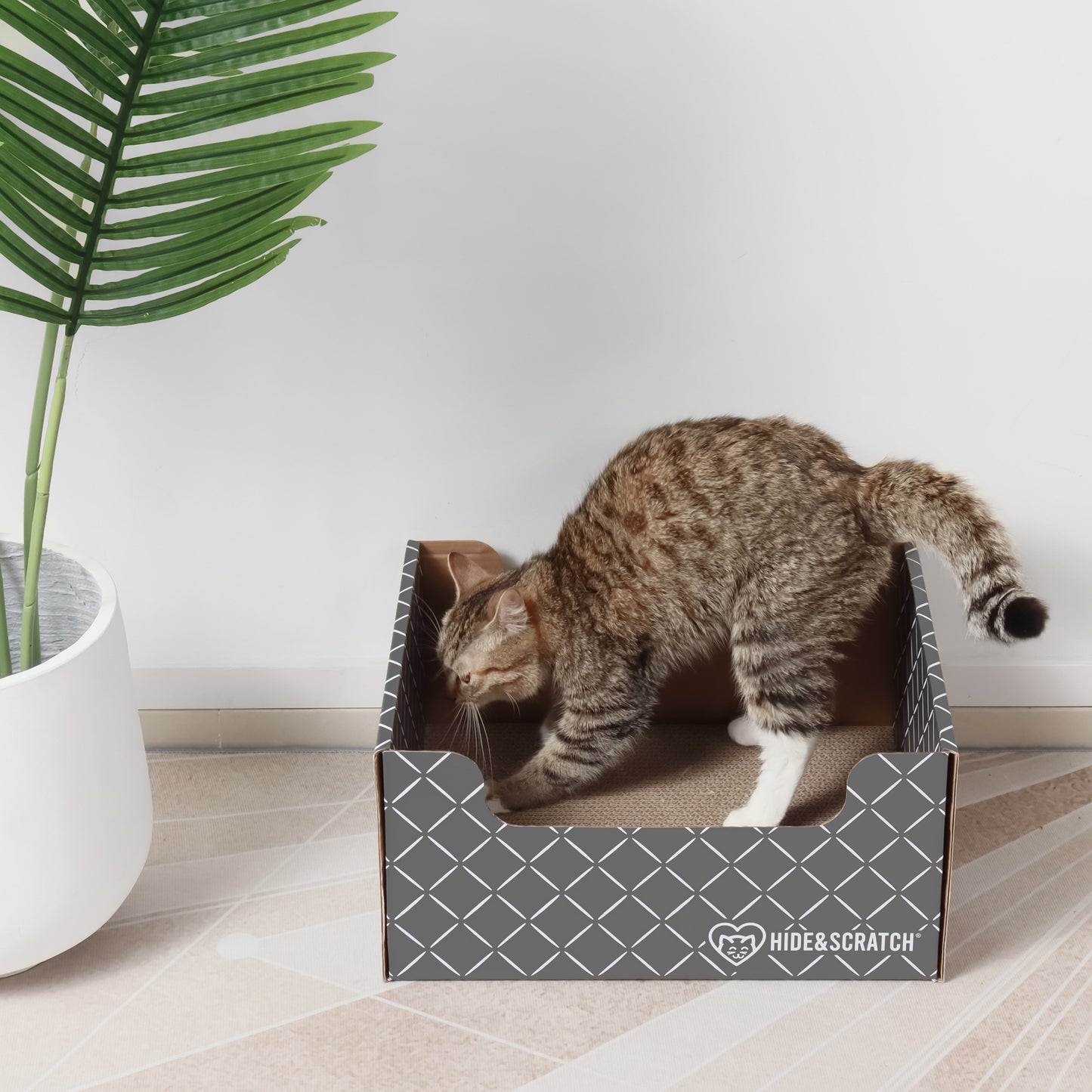 Hide & Scratch Extra-Large Cat Scratcher Box